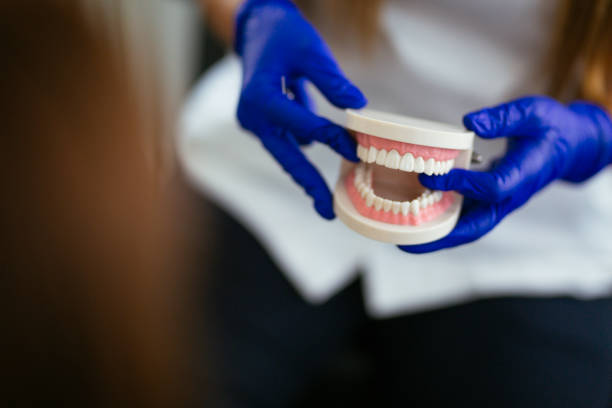 Best Laser Dentistry  in Springfield, FL