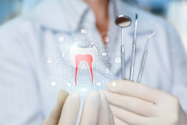 Trusted Springfield, FL  Holistic Dental Services Experts